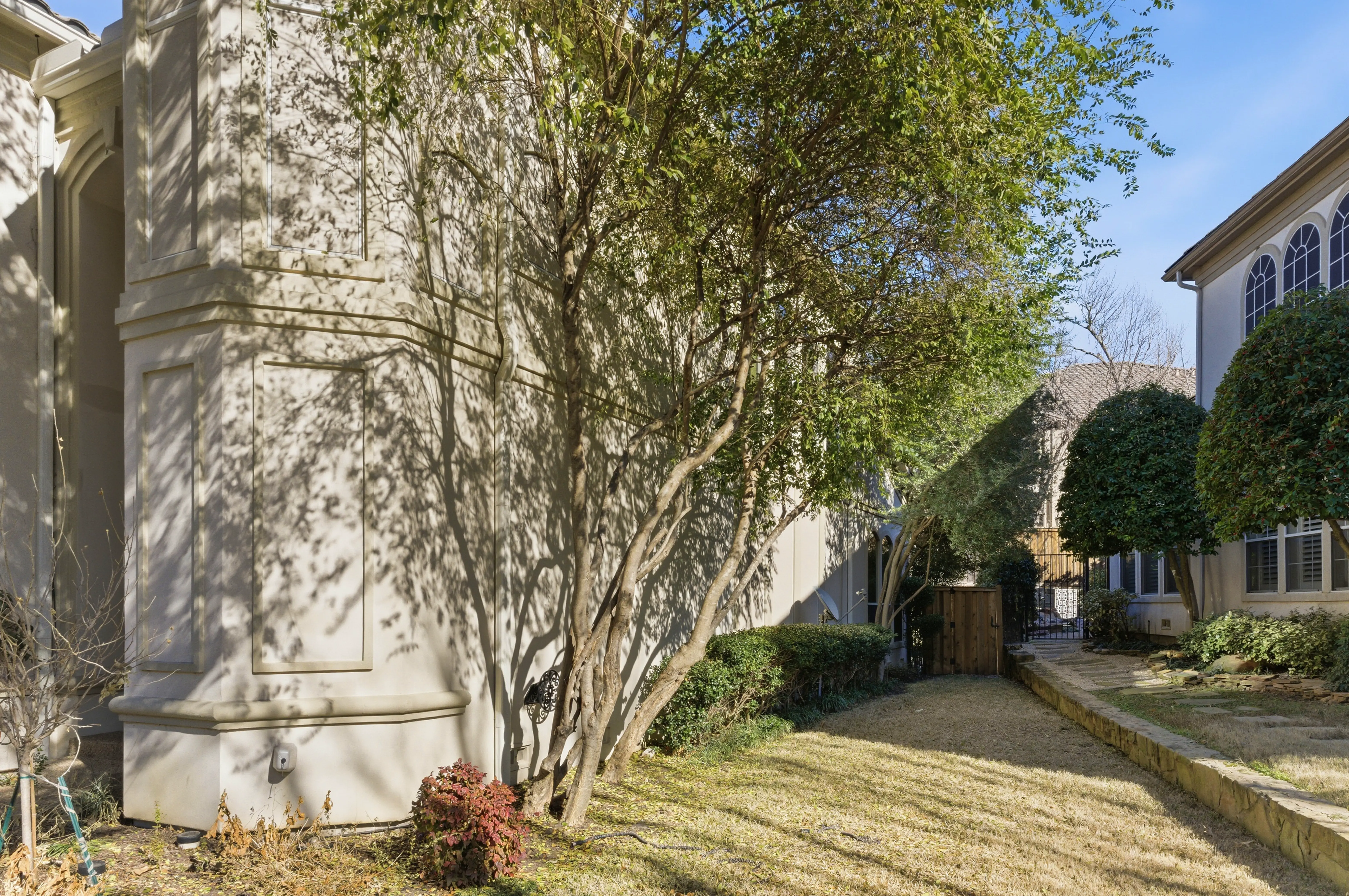 Side yard and landscaping
